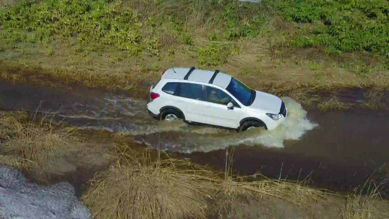 FORESTERの実力