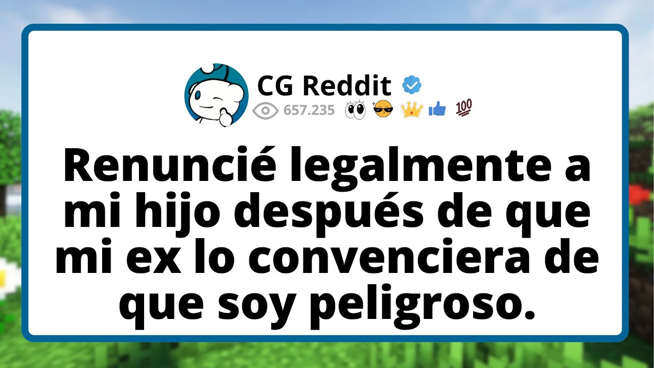 Renuncié legalmente a mi hijo después de que mi ex lo convenciera de que soy peligroso.
