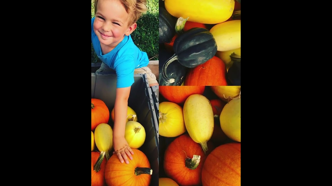 Welcome to Cherry Lane Farm