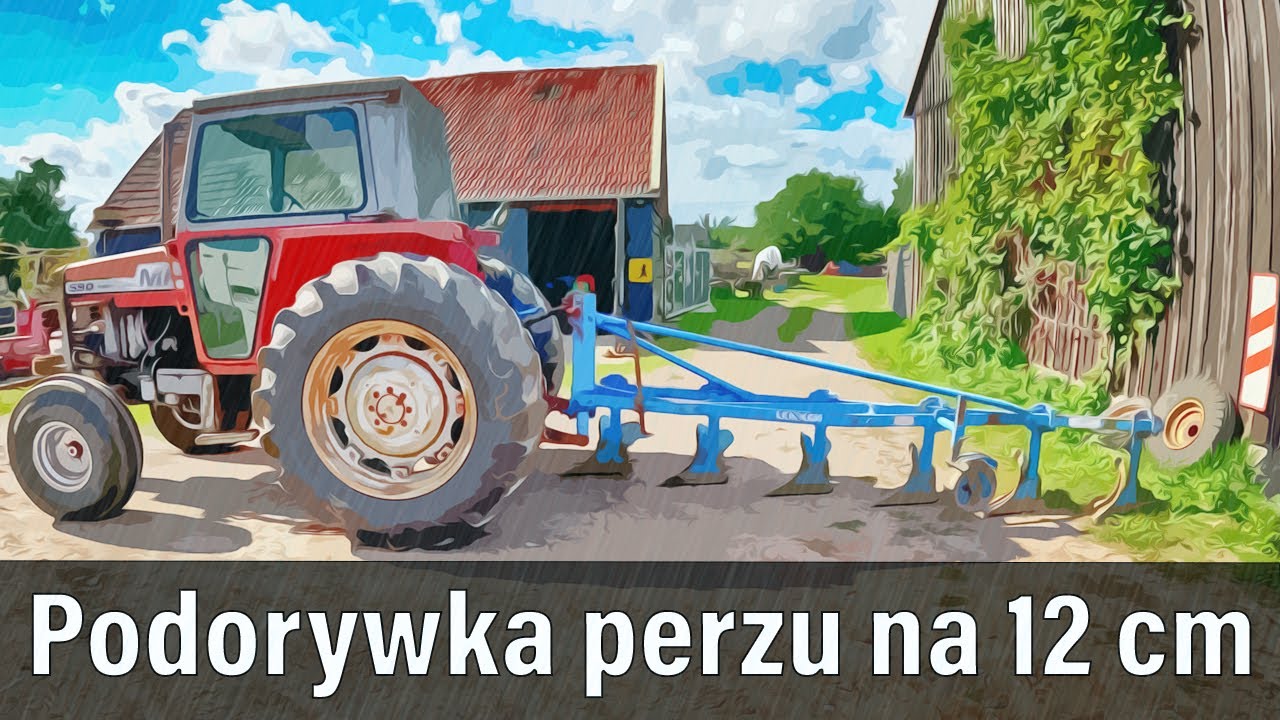 Podorywka perzu na 12 cm