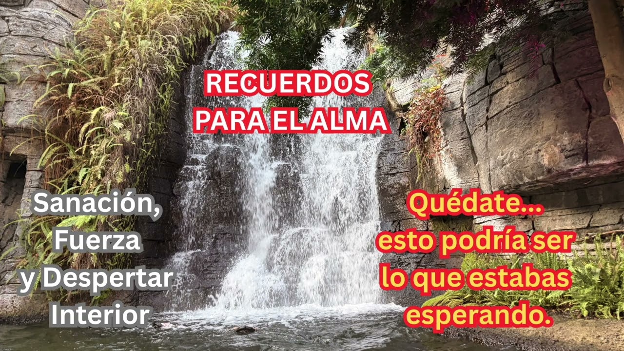 Recuerdos Para El Alma. Sanación, Fuerza y Despertar Interior. 