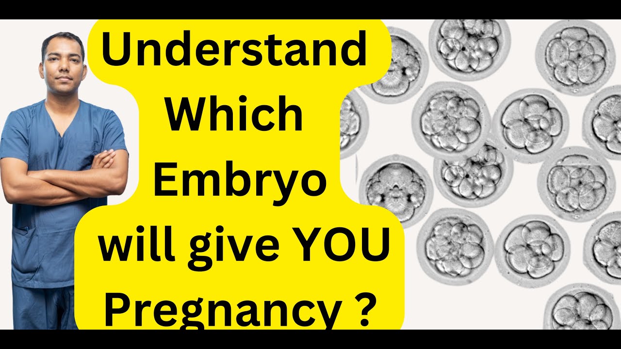 Understand Which Embryo will give Pregnancy ? Gardner vs Istanbul consensus