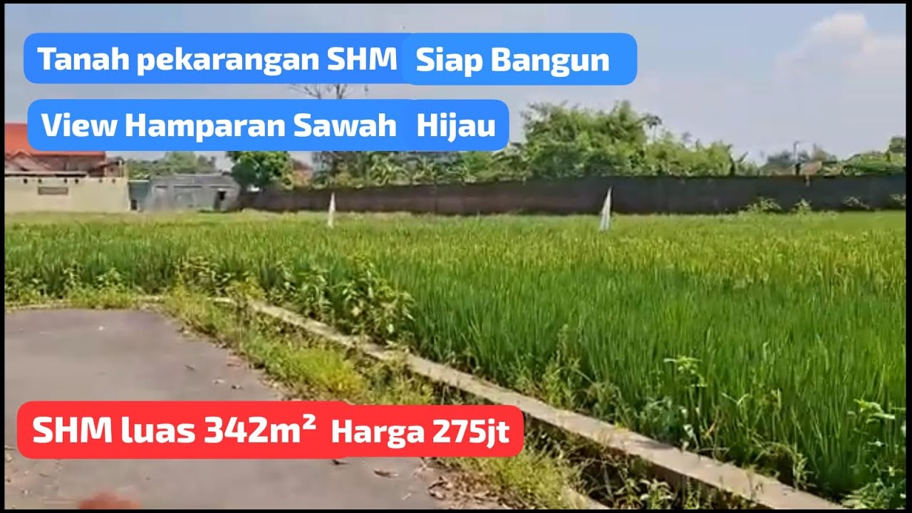 Tanah pekarangan View hamparan Sawah Hijau.SHM luas 342m² hrg 275jt.LD 15m. Tanjung juwiring klaten