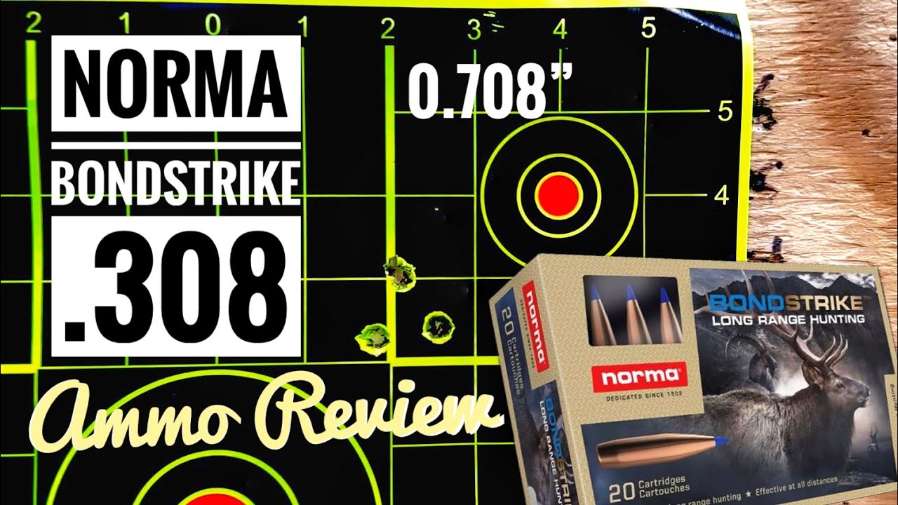 Ammo Review! .308 Win. Norma Bond Strike 180 gr. NOT BAD! #shooting