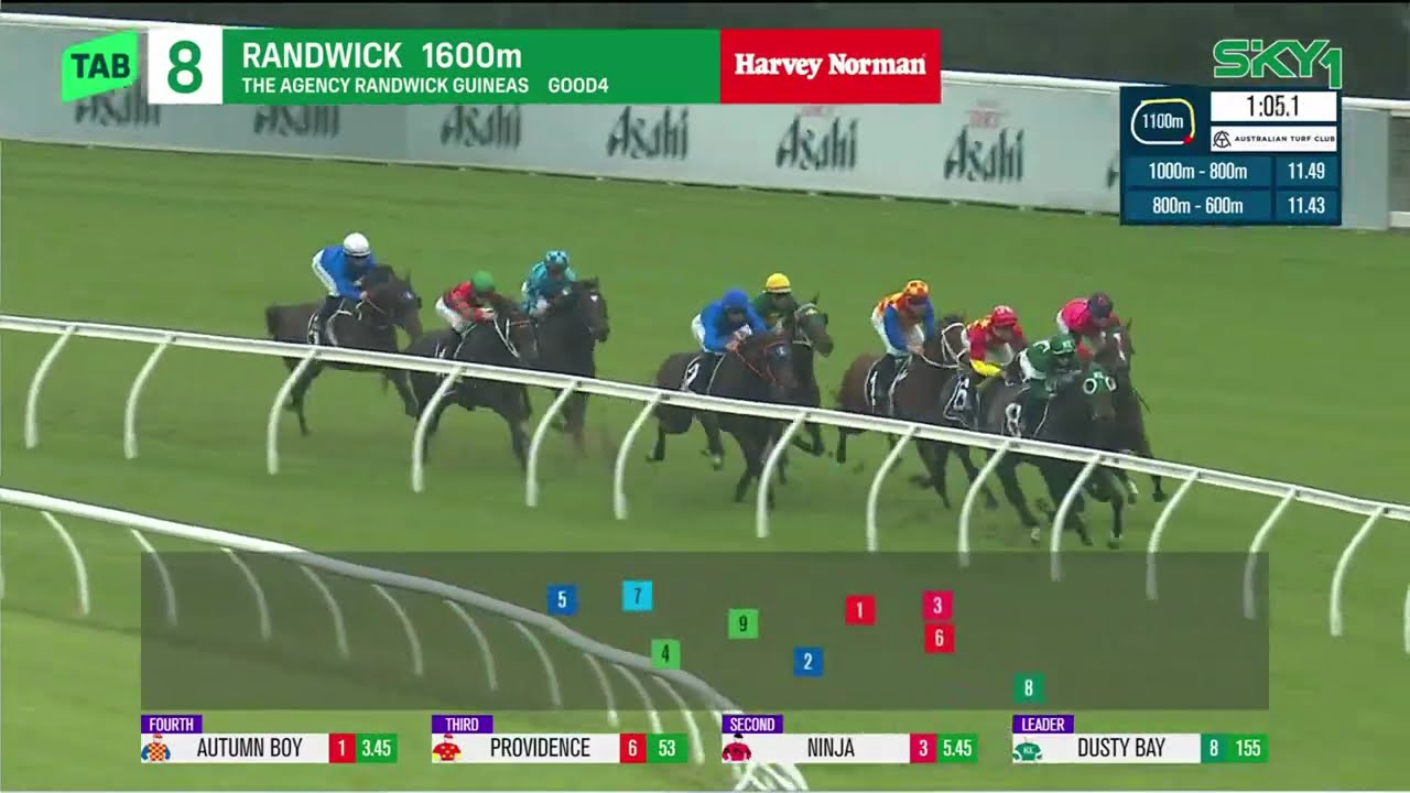 SHEZA ALIBI - Randwick Guineas 2026 (3-летняя лошадь, победа в скачках первой группы), группа 1, ...