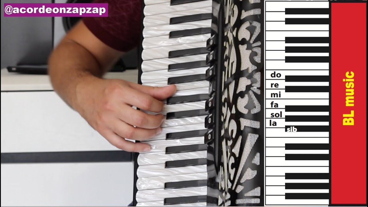 Aula de sanfona- Asa Branca -Método Luiz Gonzaga 1