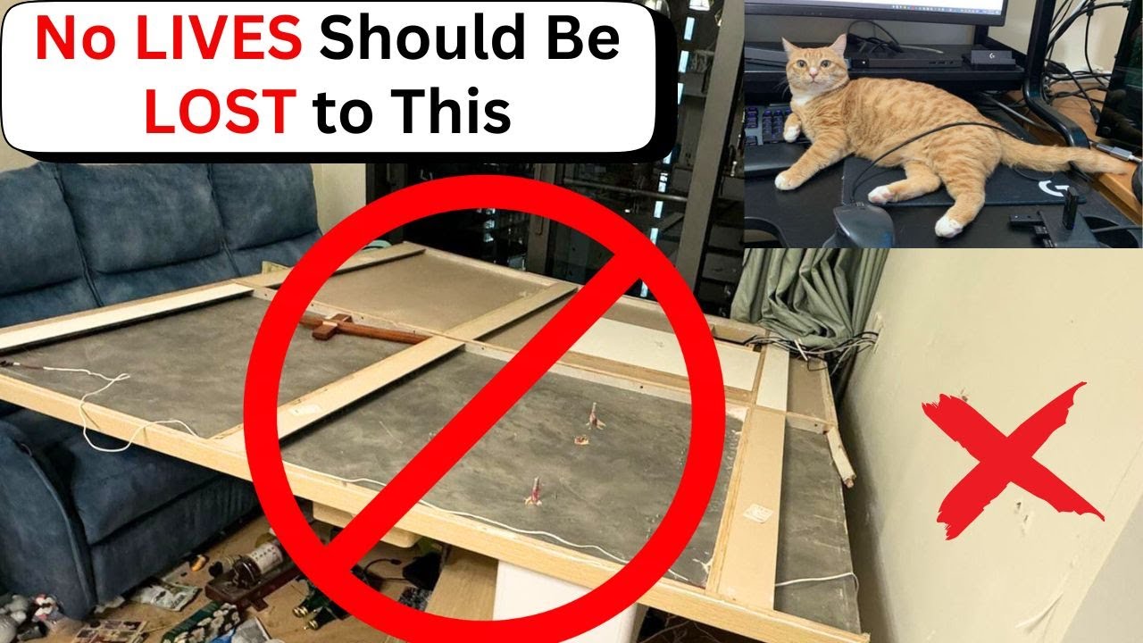 Are Cat Wall Shelves Safe? What I Learned Before Installing!