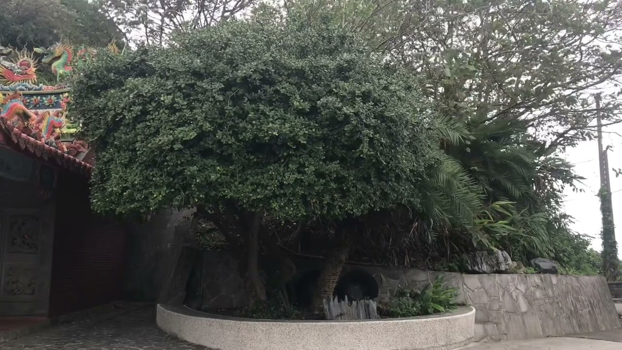 新北 出水坑東福宮