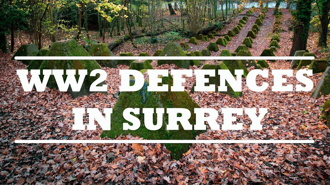 Abandoned WW2 Dragon's Teeth Defences in Surrey England