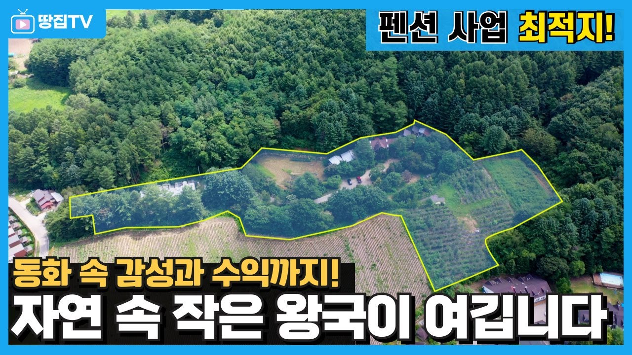 찾았다! 실사판 지브리 왕국. 3,500평 부지와 펜션과 전원주택 #평창전원주택 #평창펜션 #평창수익형펜션