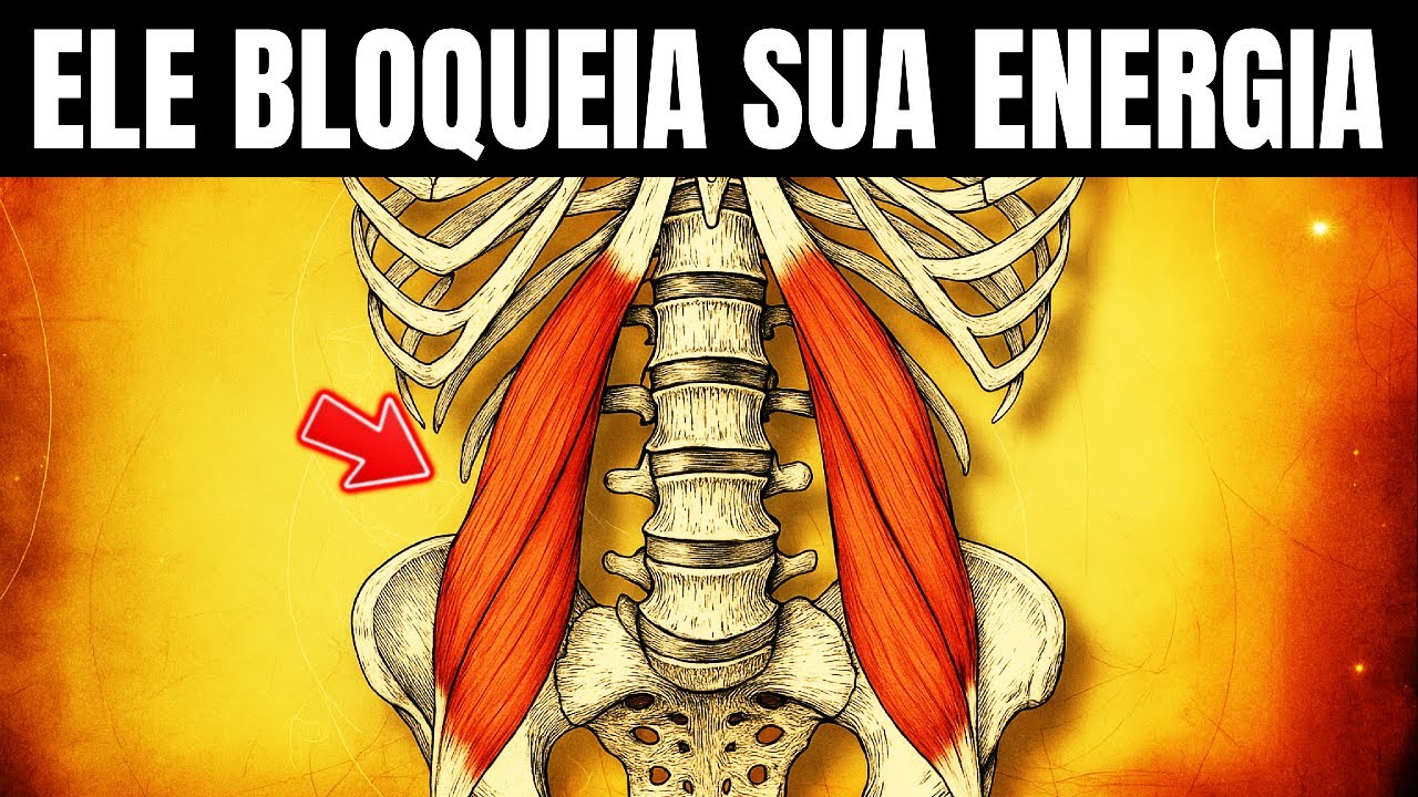 PSOAS: O Músculo Que Bloqueia o Fluxo Quântico Do Seu Corpo — Libere-o Agora
