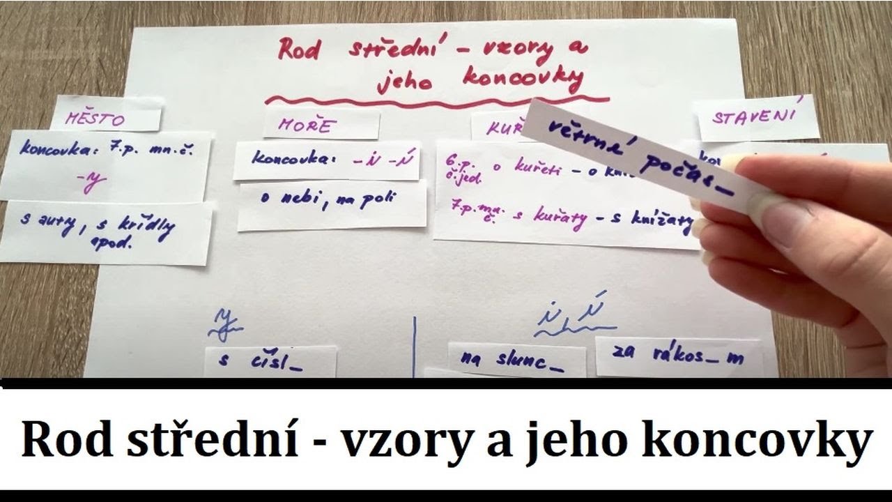 Rod střední - vzory a jeho koncovky