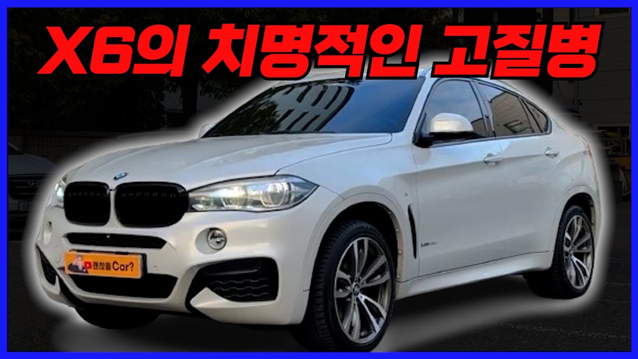 X6 이거 보기 전에 절대 사지 마세요,, [연식 변경점, 등급 변경점, 고질병, 하부 모음]