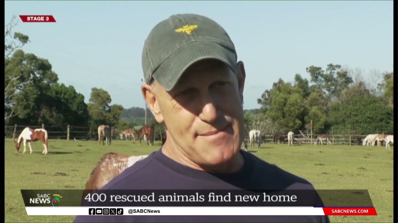 Over 400 rescued animals relocated from Plettenberg Bay