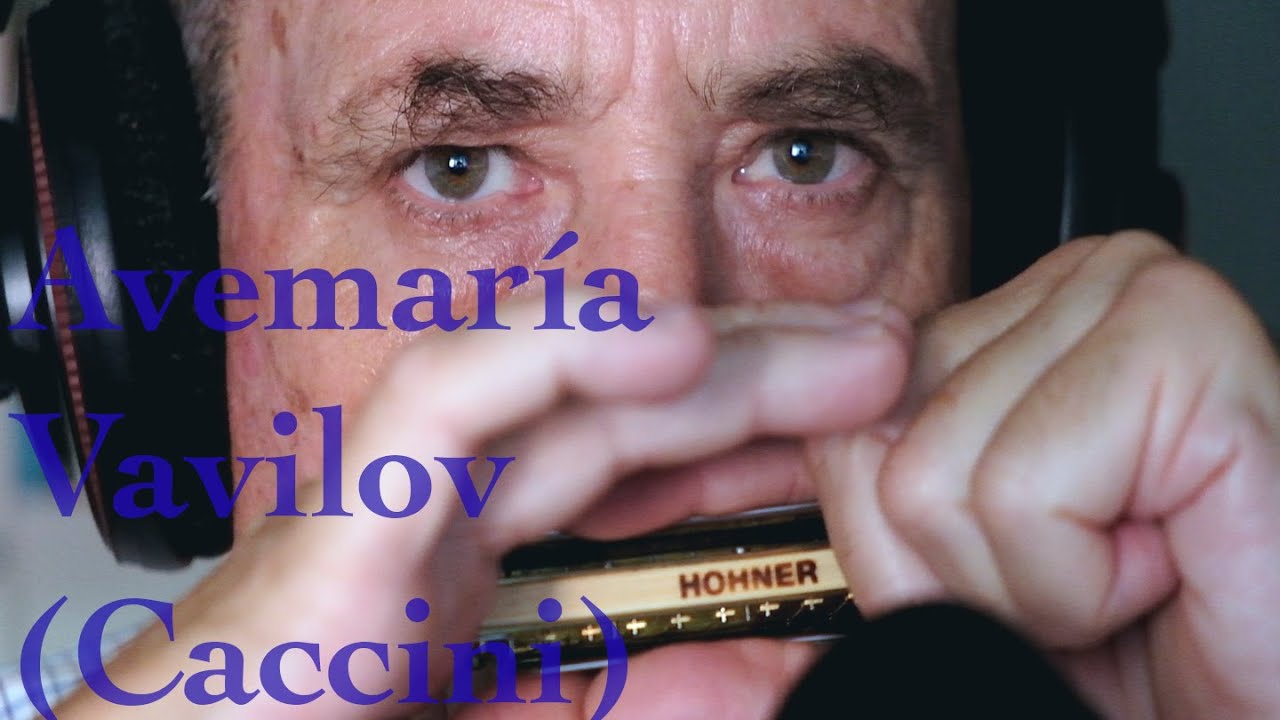 José Miró. Avemaria Vavilov (Caccini). Diatonic Harmonica
