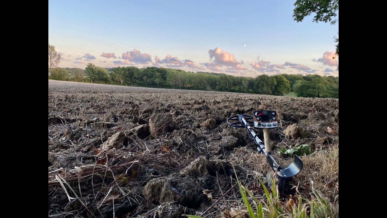A REAL Representation Of Metal Detecting Swinging My Nexus MP V3