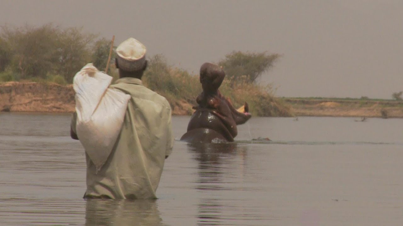 Faces of Africa - Abdou and the Hippos
