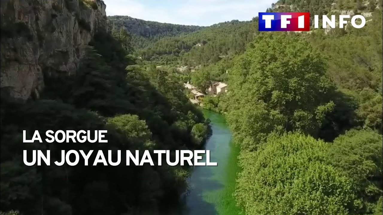 La Sorgue, un joyau naturel