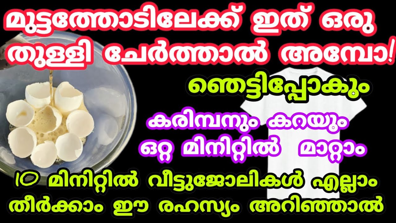 മുട്ടത്തോട് കൊണ്ട് ഊഹിക്കാൻ പോലും പറ്റാത്ത കിടിലൻ ടിപ്പുകൾ |Different uses of egg shells
