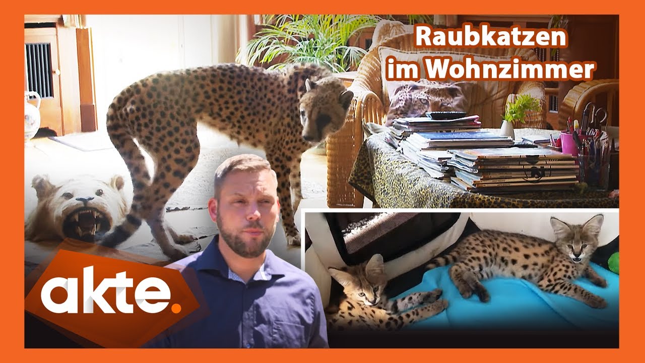 Die Tigerkings von Deutschland: Undercover bei illegalen Raubkatzen-Verkäufen | Akte | SAT.1
