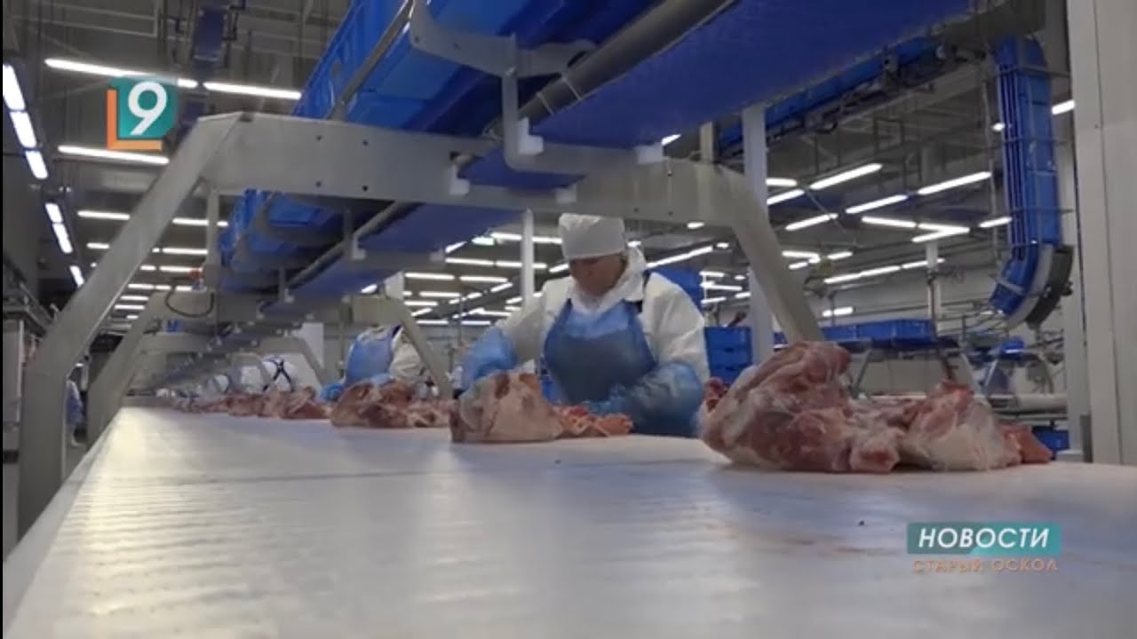Белгородский свинокомплекс «Сибагро» возобновил выпуск продукции после санации