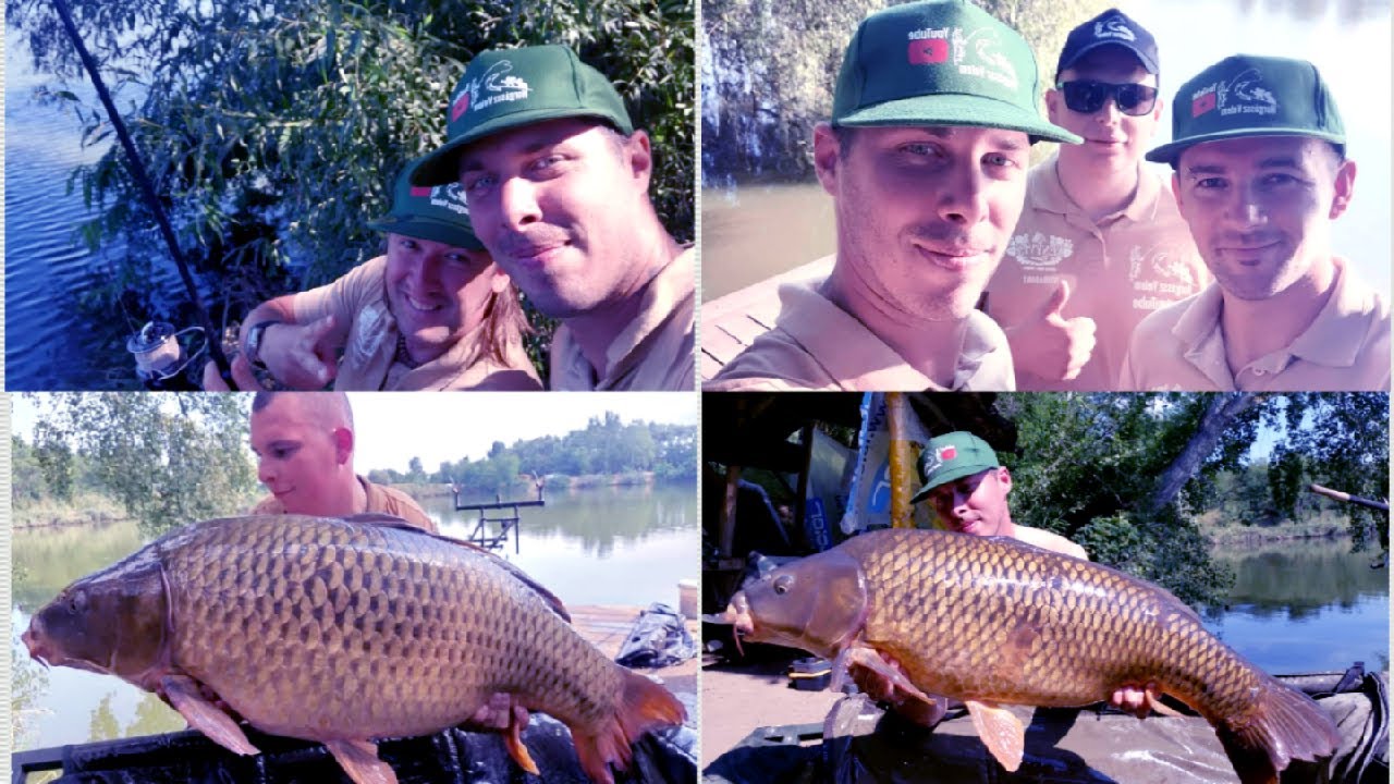 HORGÁSSZ VELEM 17.Rész - 20+ Felett Method Feederrel - Alaszka Carp Lake