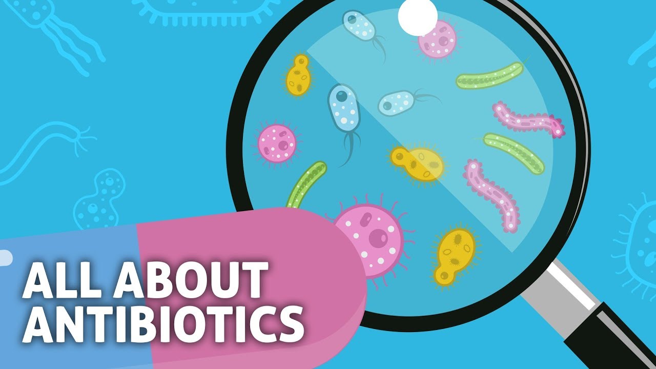 What are superbugs? (Kaleidoscopic Antibiotics)