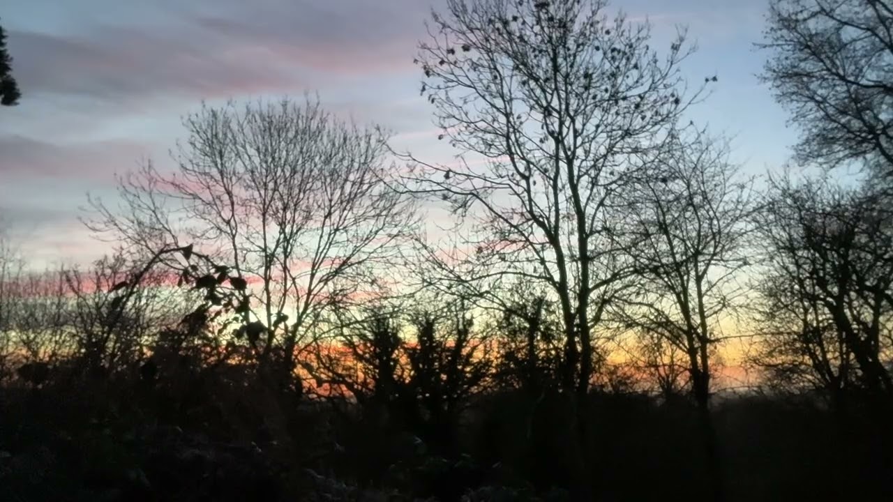 Meditation Monday - Sunrise and Spring Birdsong 