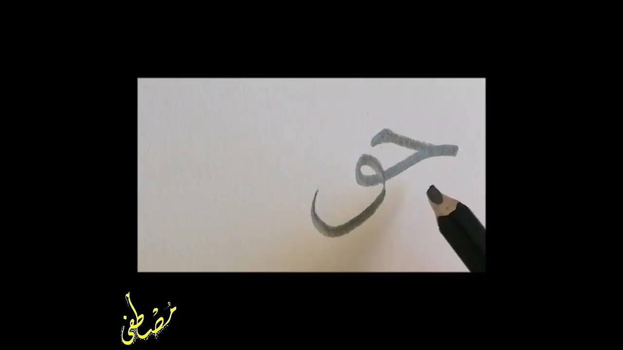 قلم وسلحفاة وعصافير.. ياترى النتيجة إيه؟ 🤔