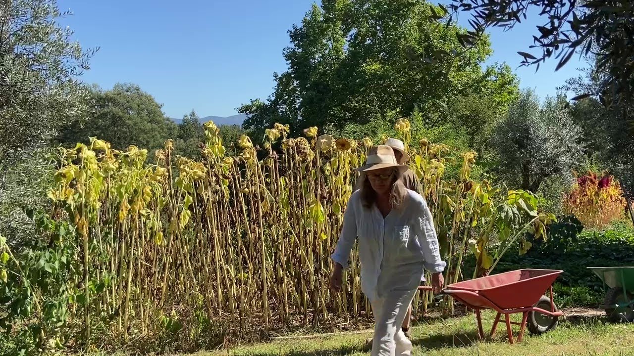 Relaxing Days Harvesting Fall Produce and Planting Fruit Trees