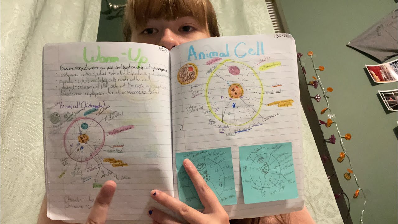 reading honors bio notes so i can memorize for my test tomorrow lol