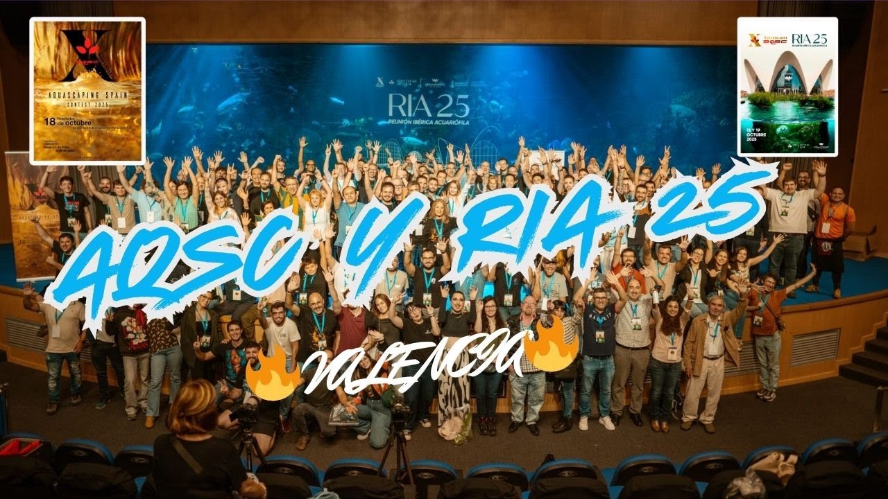 X Aquascaping Spain Contest y RIA 25
