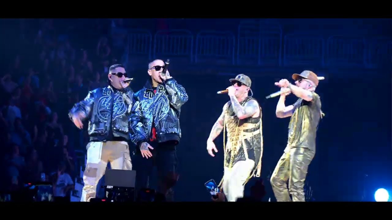 Wisin & Yandel, Baby Rasta & Gringo (LIVE Performance)
