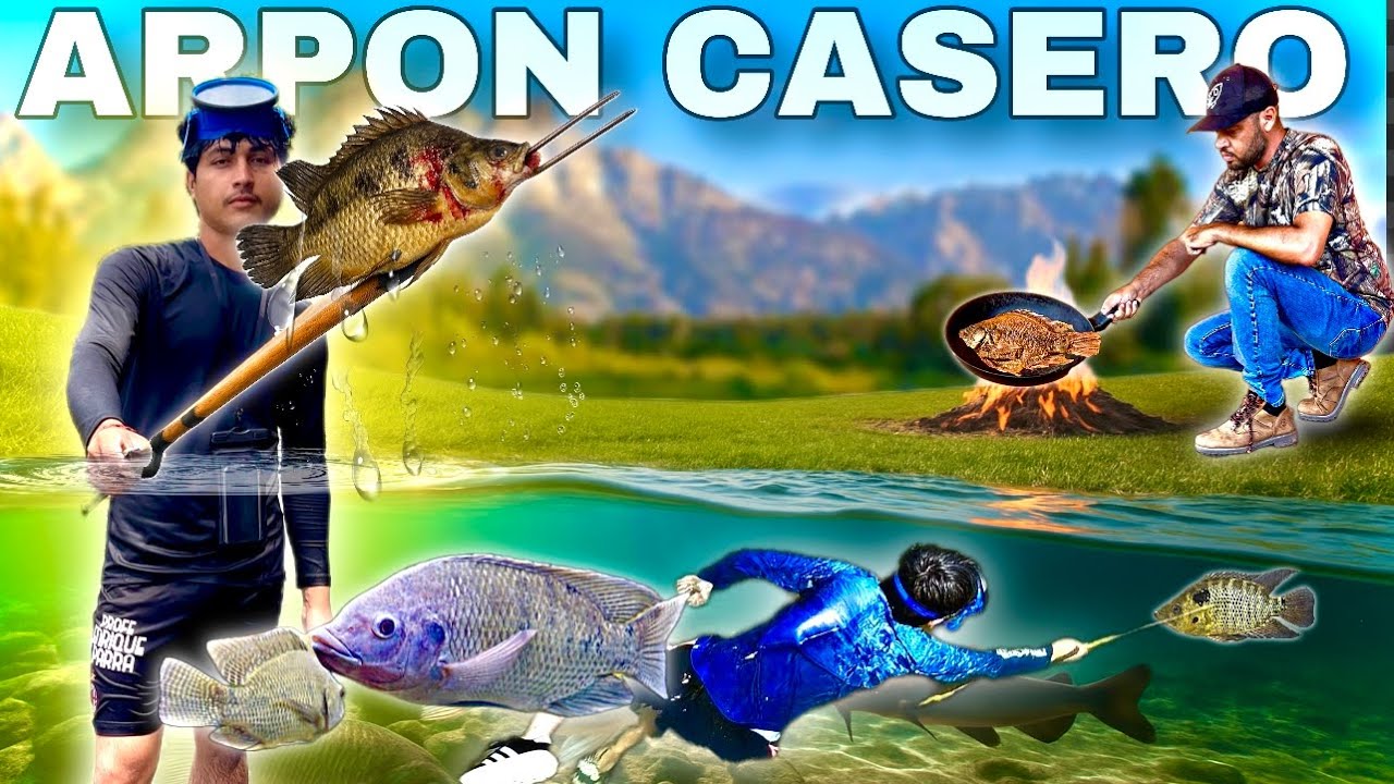 Pesca de MOJARRAS y BAGRES en aguas cristalinas con ARPÓN // PESCA y COCINA