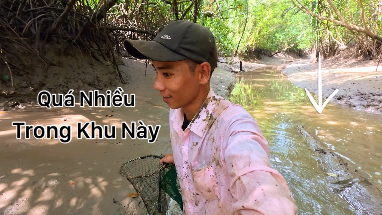 Chạy Đua Với Đàn Cá Khi Thủy Triều Dâng Lên Trúng Ổ Một Hang Mấy Con