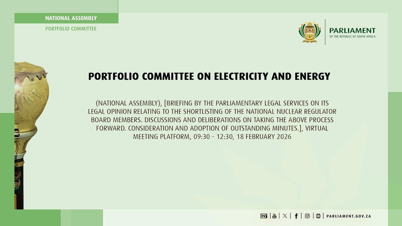 Portfolio Committee on Electricity and Energy