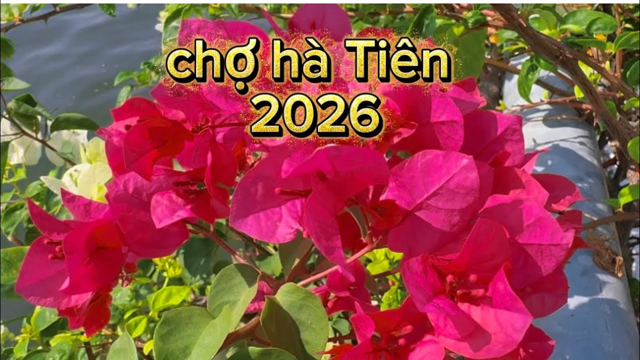 chợ hà Tiên 27tết 2026 🧧🧧