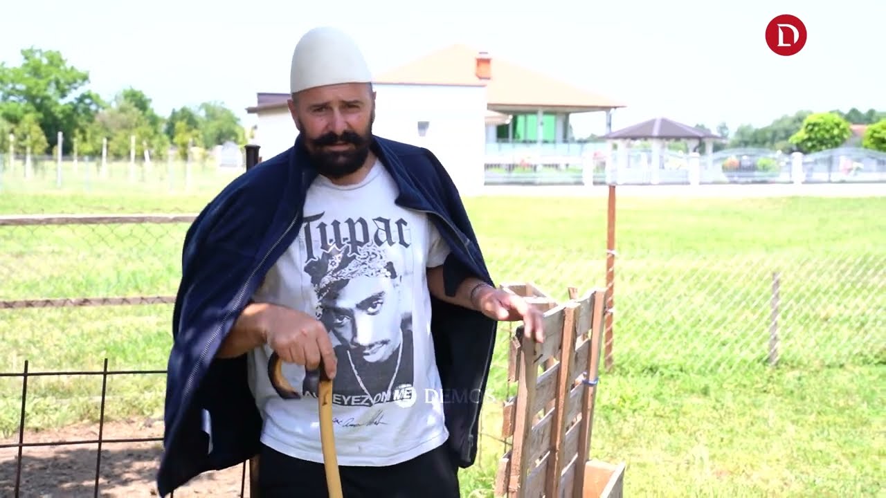 Bujku nga Gjakova tregon racën e veçantë të deleve: 200 qengja nga 200 euro, bëjnë 40 mijë euro