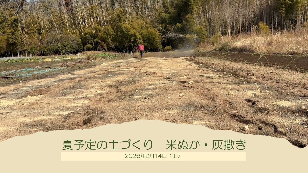 2026年2月14日（土）夏予定の準備