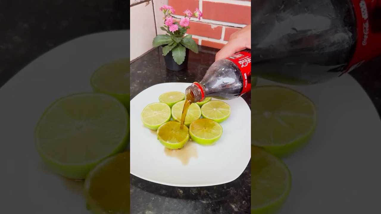 &iexcl;Las industrias de productos de limpieza nunca revelan esto! 😱