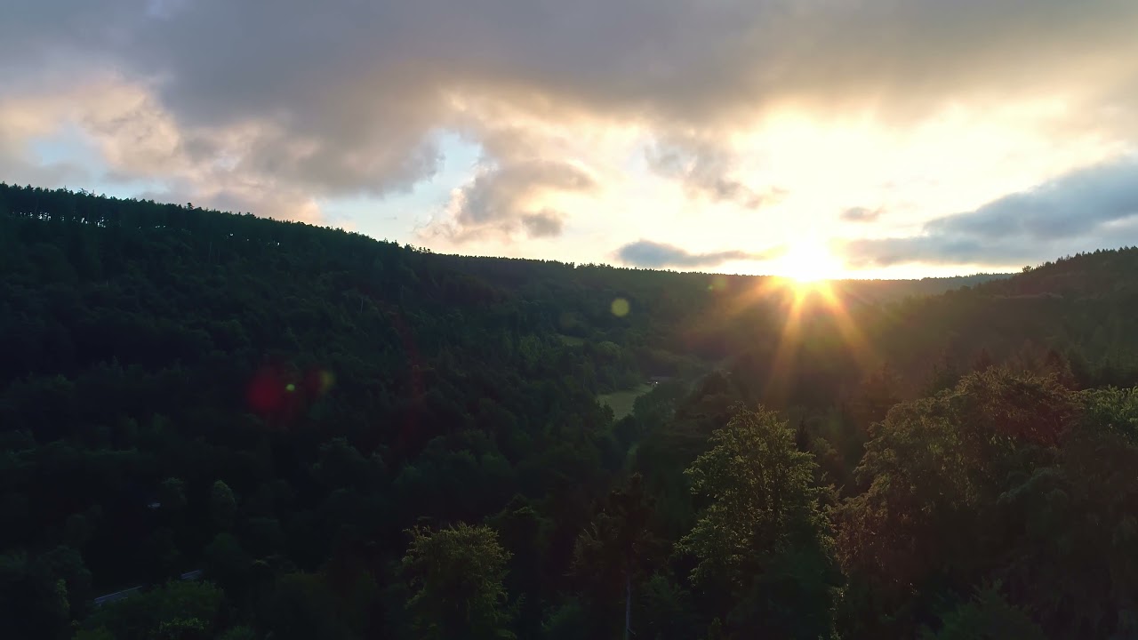 Sunrise Over Forest   Drone Footage 4K   Free HD Stock Footage   Ultra 2160 x 3840