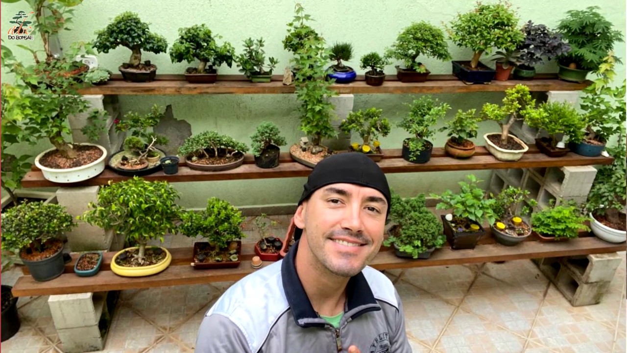 BANCADA PARA BONSAI BONITA, BOA E BARATA