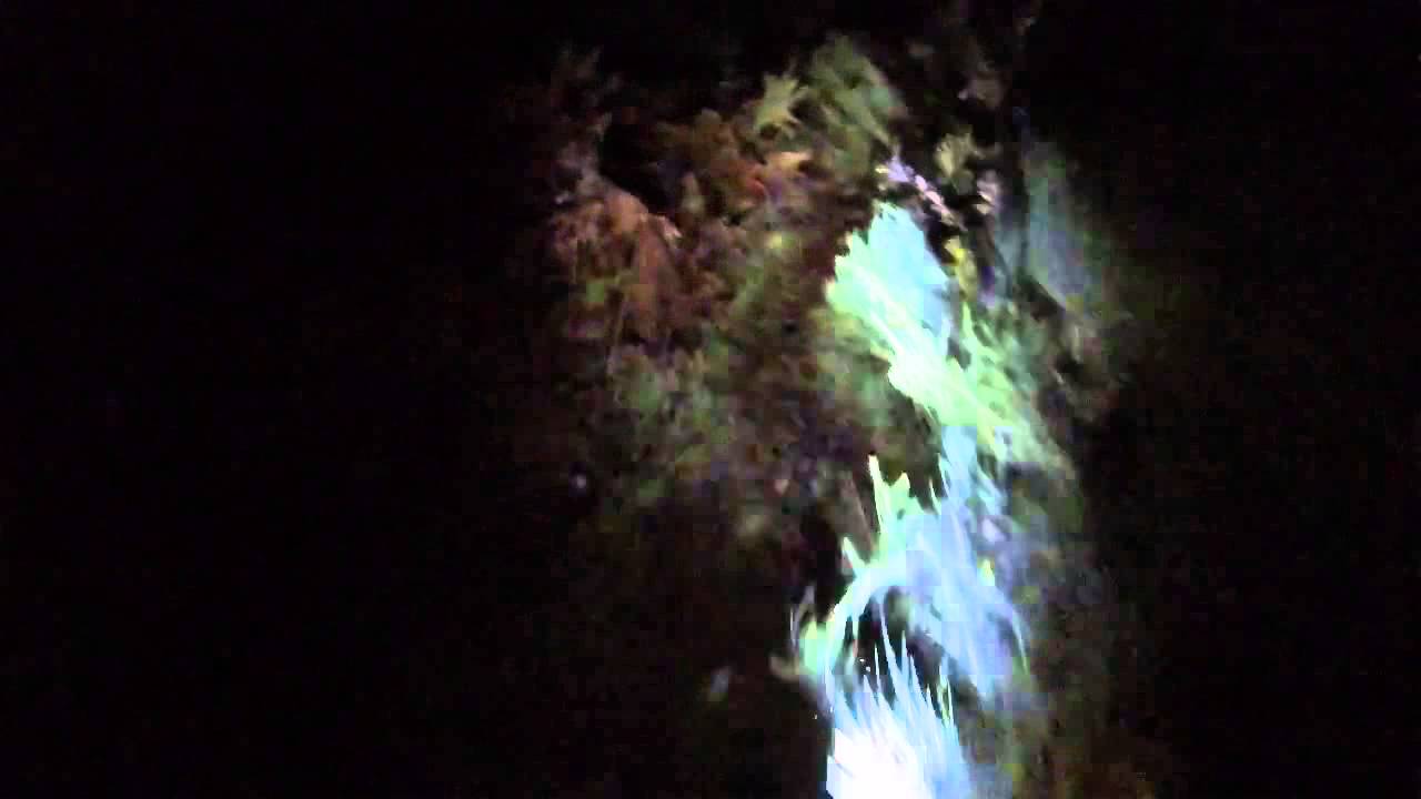 BTT   Single Track Noturno