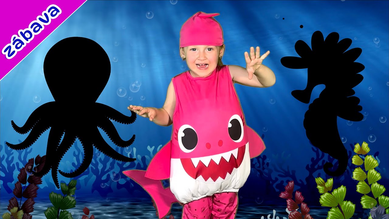 Zvířátka z Moře + BABY SHARK | Naučné a interaktivní video pro děti – písničky, hádanky, bezpečnost