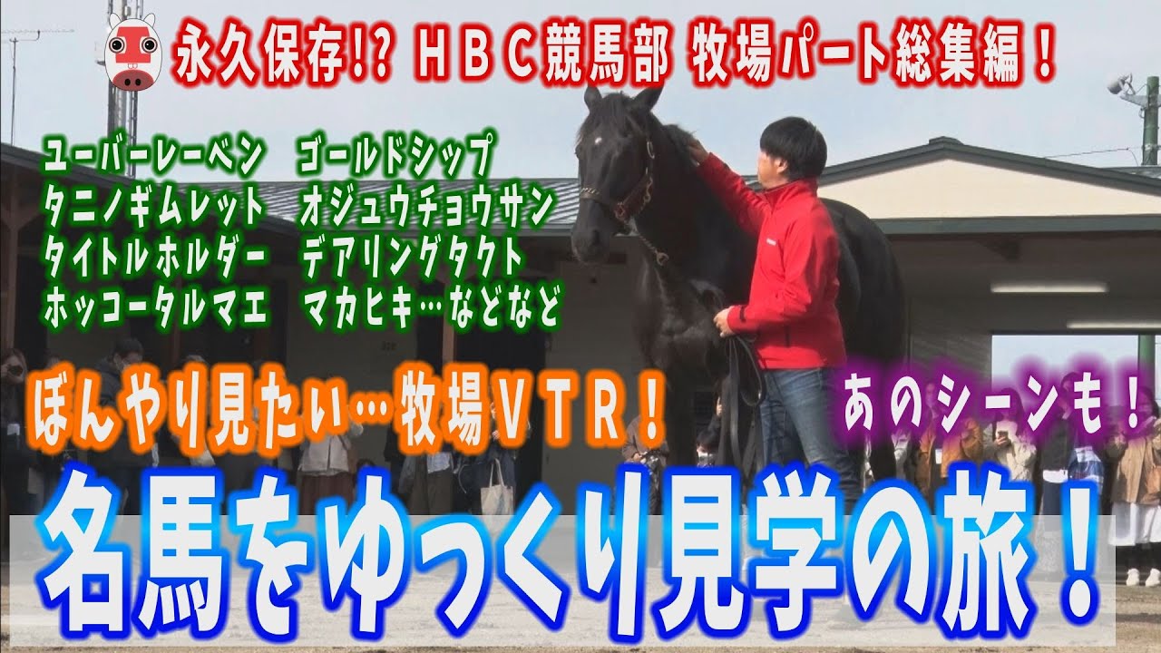 【保存版・年末総集編】名馬たちを牧場でぼーんやり眺める動画（ユーバーレーベン、タイトルホルダー、ゴールドシップなど）