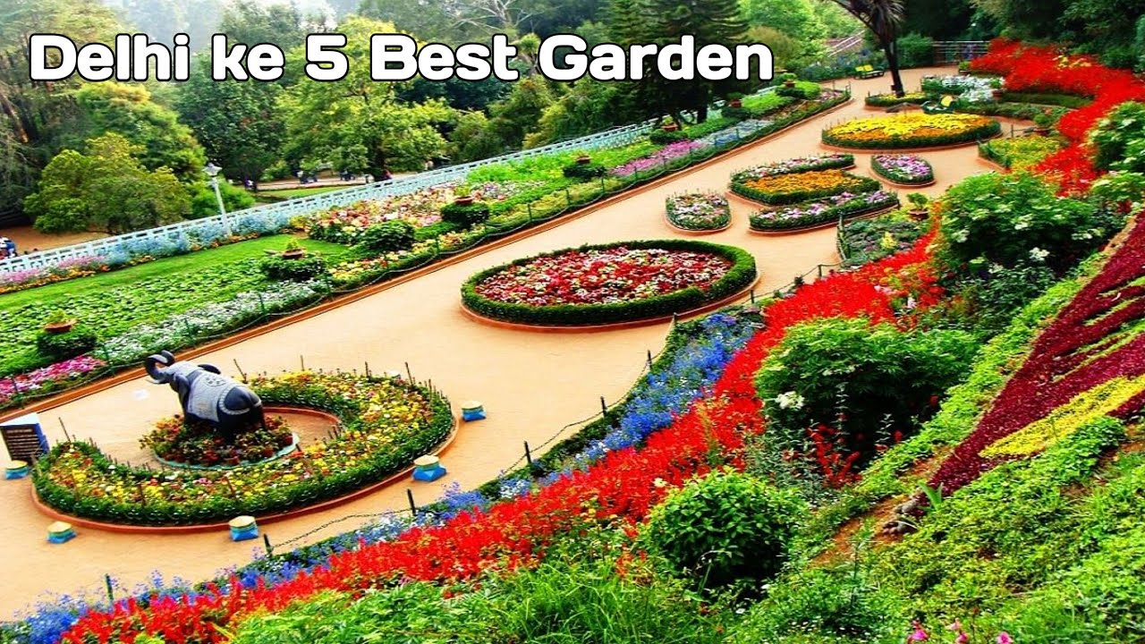 दिल्ली के 5 ऐसे famous Garden जो घुमने के  लिए एक दम best है #delhi #garden #picnic