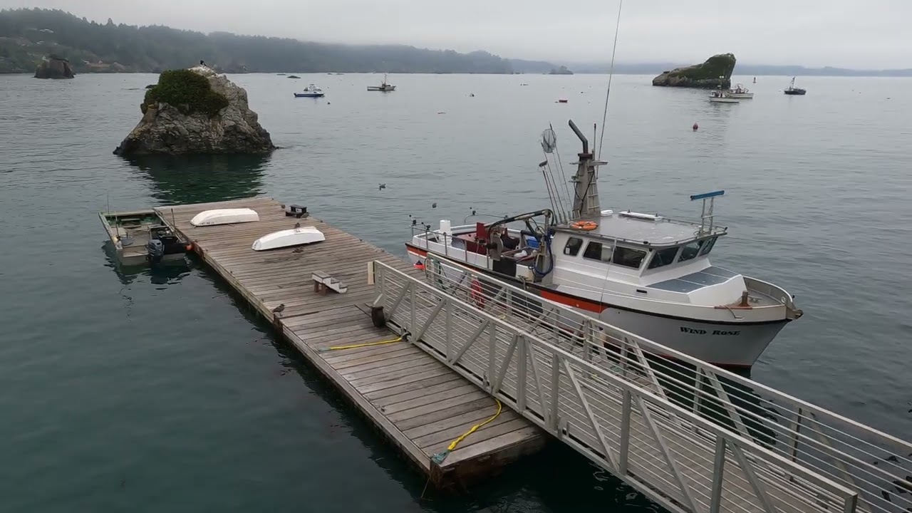 Trinidad Harbor California foggy morning fishing 