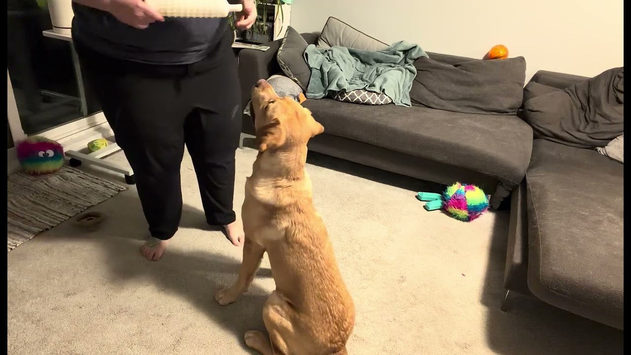 1/14/2026 Hold Add Sit
