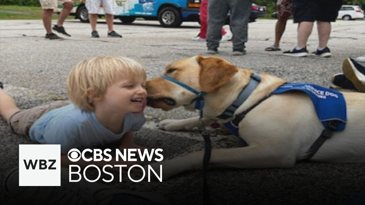 Sensory-friendly petting zoo for children with autism being held this weekend