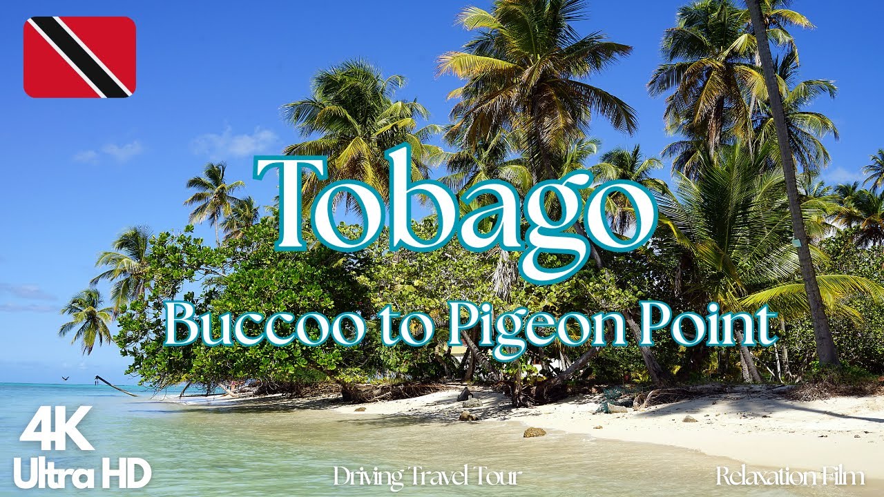 Buccoo to Pigeon Point Drive | Tobago’s Beautiful Coastal Road Trip 🇹🇹